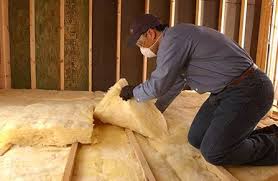 Caledonia, MI Insulation Installation & Removal Company