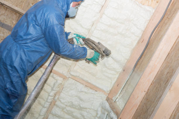 Best Insulation Replacement  in Caledonia, MI